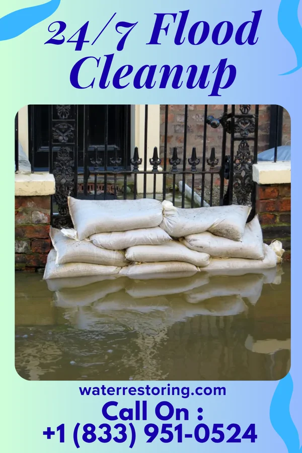 24/7 Flood Cleanup in Hasson Heights, PA