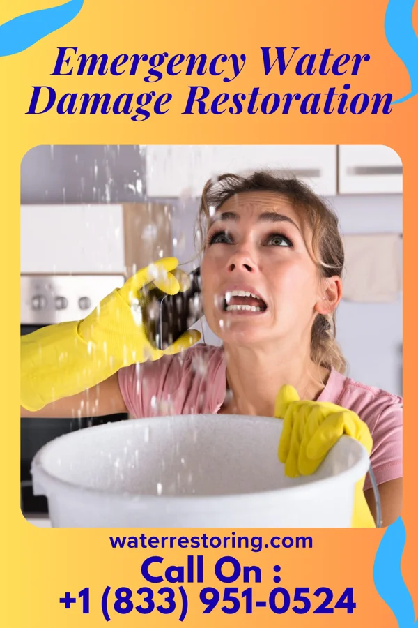 Emergency Water Damage Restoration in Hasson Heights, PA