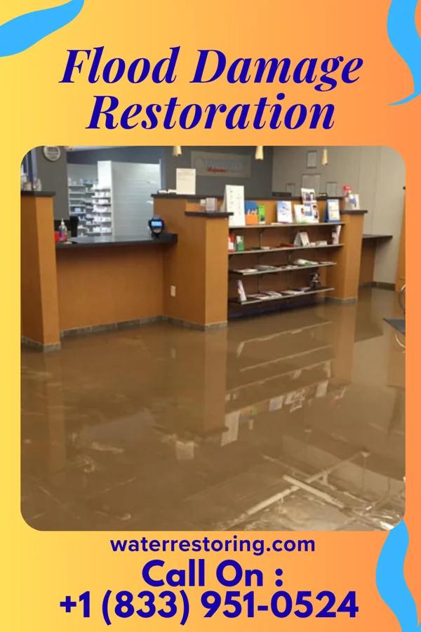 Flood Damage Restoration in Hasson Heights, PA