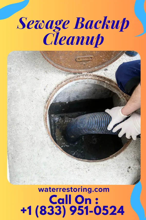 Sewage Backup Cleanup in Hasson Heights, PA