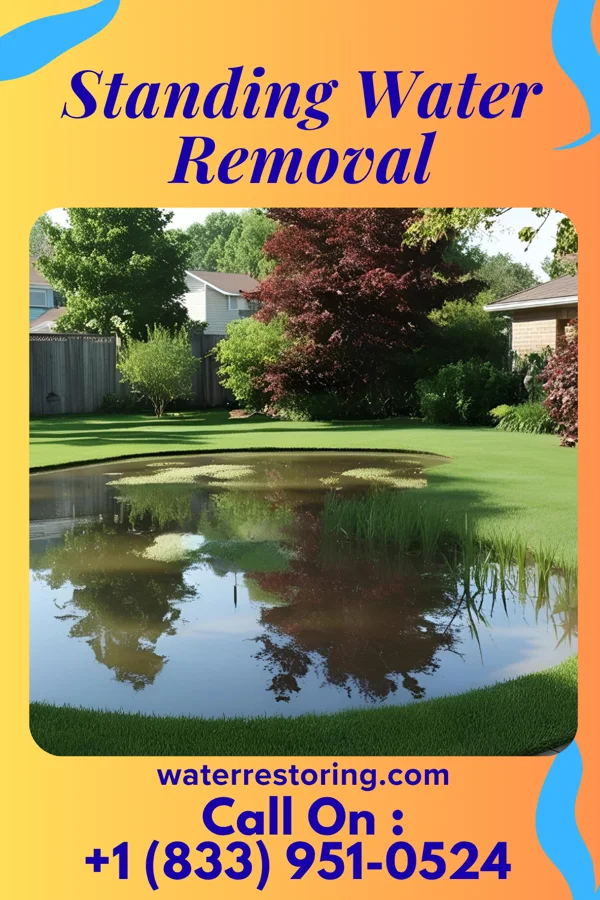 Standing Water Removal in Hasson Heights, PA